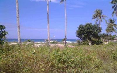 Beachfront Property in Carabao Island