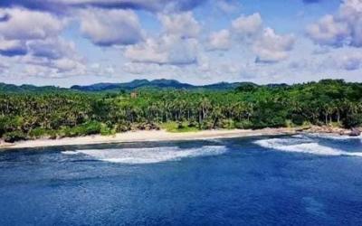 3 Hectares Titled Beachfront Property in Surigao